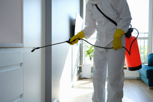 Trusted Norwood, PA Mold Removal Experts